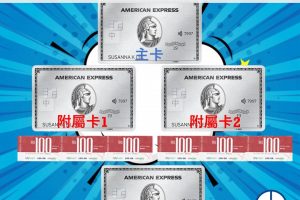ae白金卡附屬卡 副卡 additional card