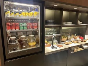 台灣－台北－桃園國際機場－國泰－lounge－貴賓室－23 2025