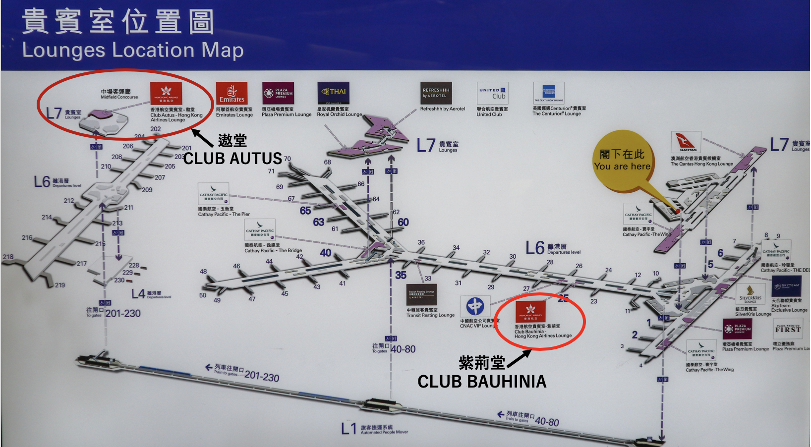 【紫荊堂CLUB BAUHINIA】香港航空貴賓室體驗報告及入Lounge方法