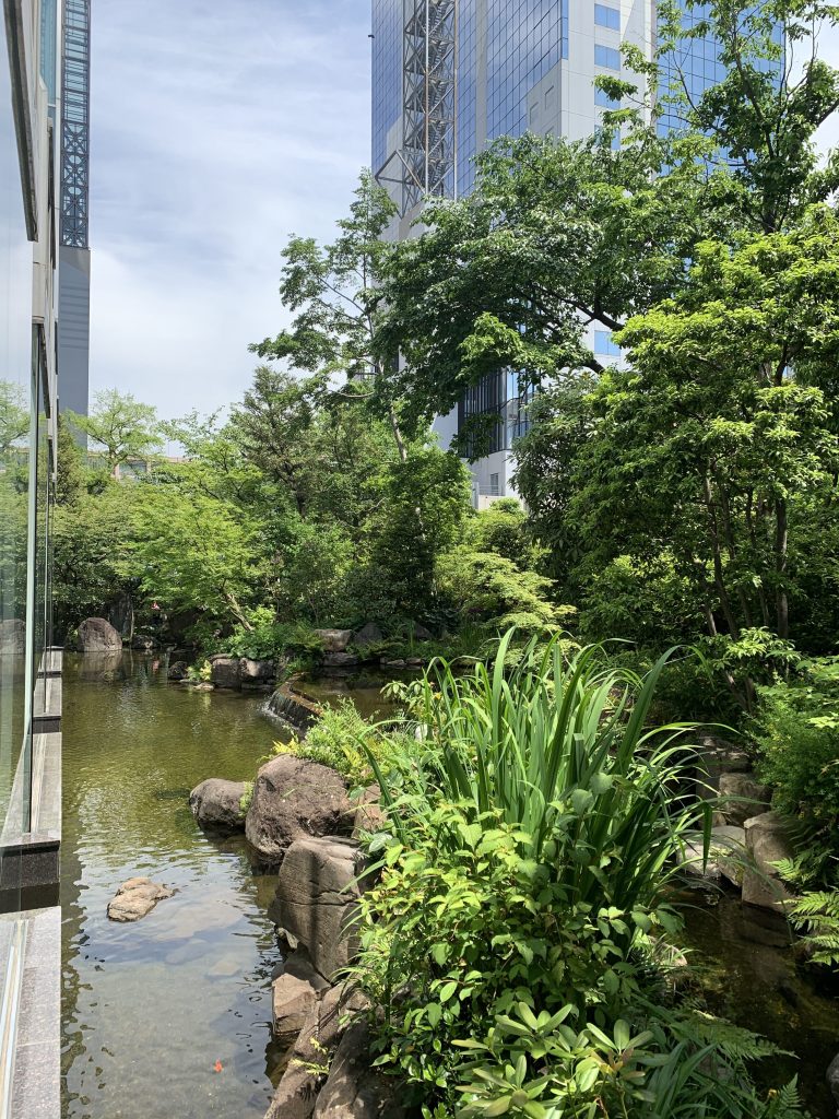 大阪威斯汀酒店Amadeus餐廳-餐廳可望到酒店池塘