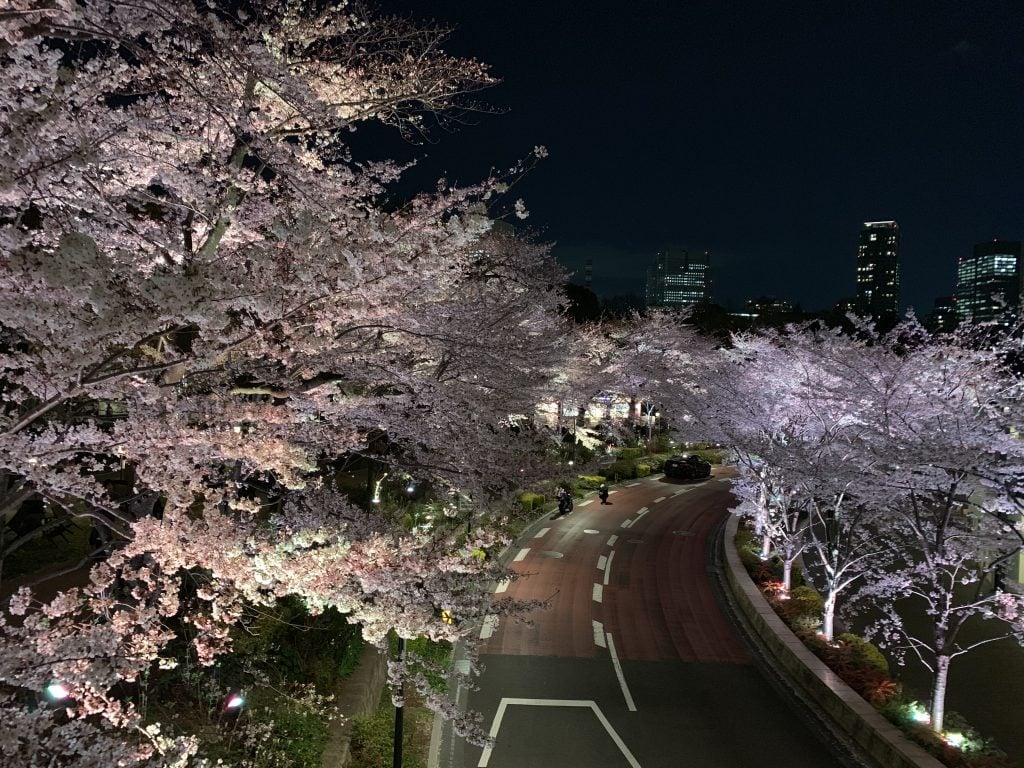 Ritz Carlton Tokyo