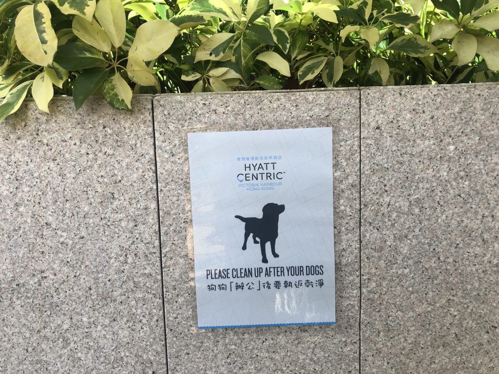 【北角維港凱悅尚萃酒店Hyatt Centric優惠+住宿報告】港人專享！包早餐＋自助午餐／自助晚餐！每晚只需HK$1,380＋！