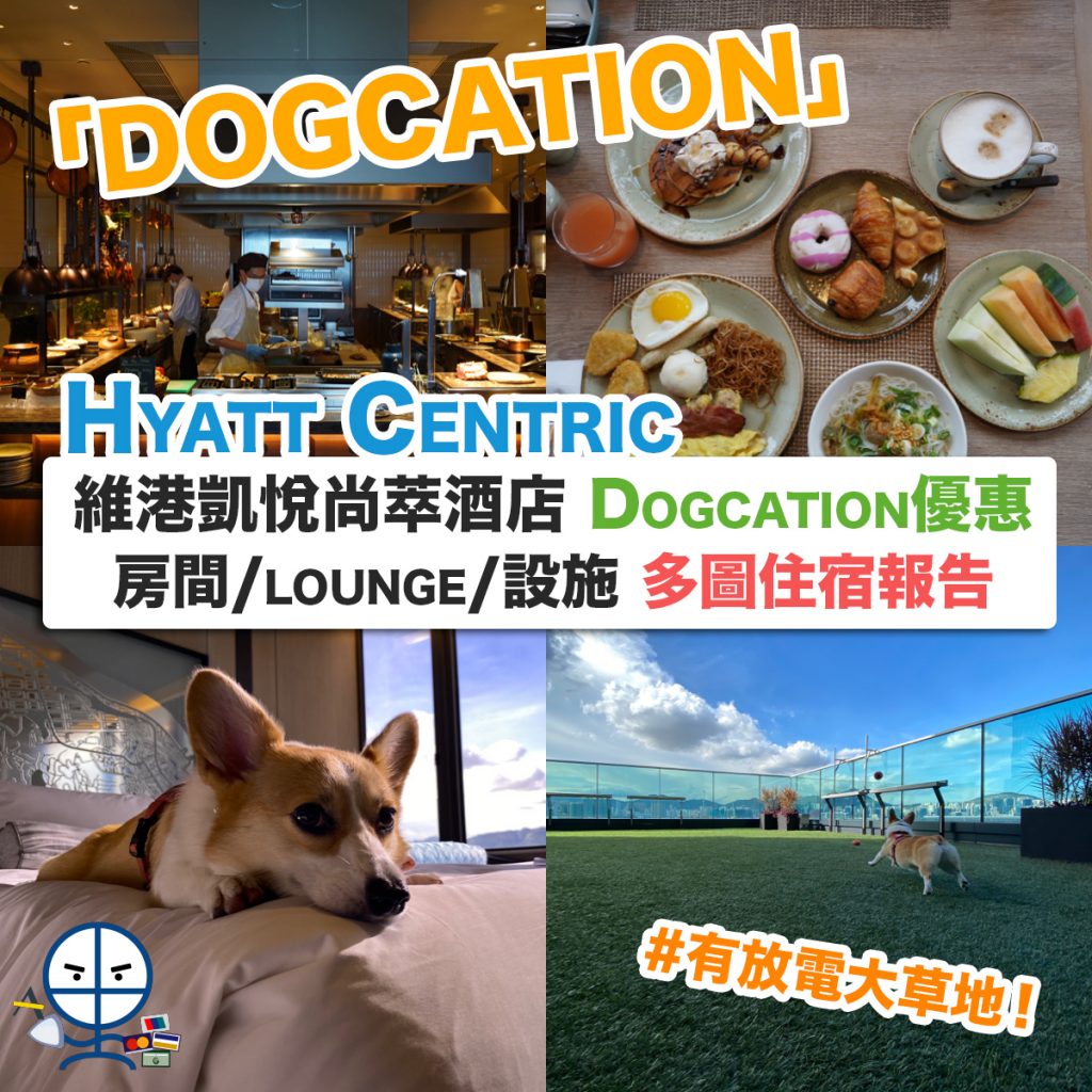 hyatt-centric-dogcation-維港凱悅尚萃酒店-優惠