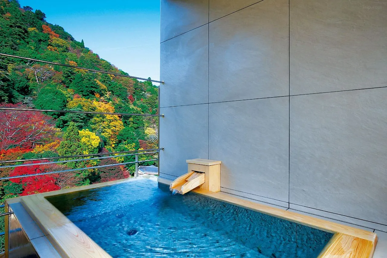 大阪溫泉酒店推介 月光園 鴻朧館 Arima Onsen Gekkoen Korokan 1 2025