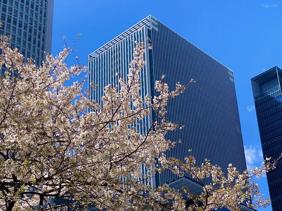 nagoya hotel Nagoya JR Gate Tower Hotel 1 2026 nagoya hotel Nagoya JR Gate Tower Hotel 1 2026