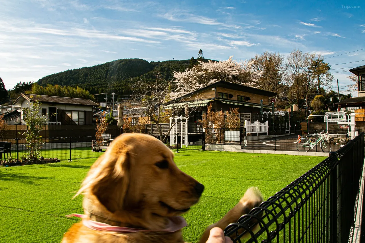 由布院溫泉酒店 湯布院 Lamp 之宿 Yufuin Lamp no Yado 1 2026 由布院溫泉酒店 湯布院 Lamp 之宿 Yufuin Lamp no Yado 1 2026