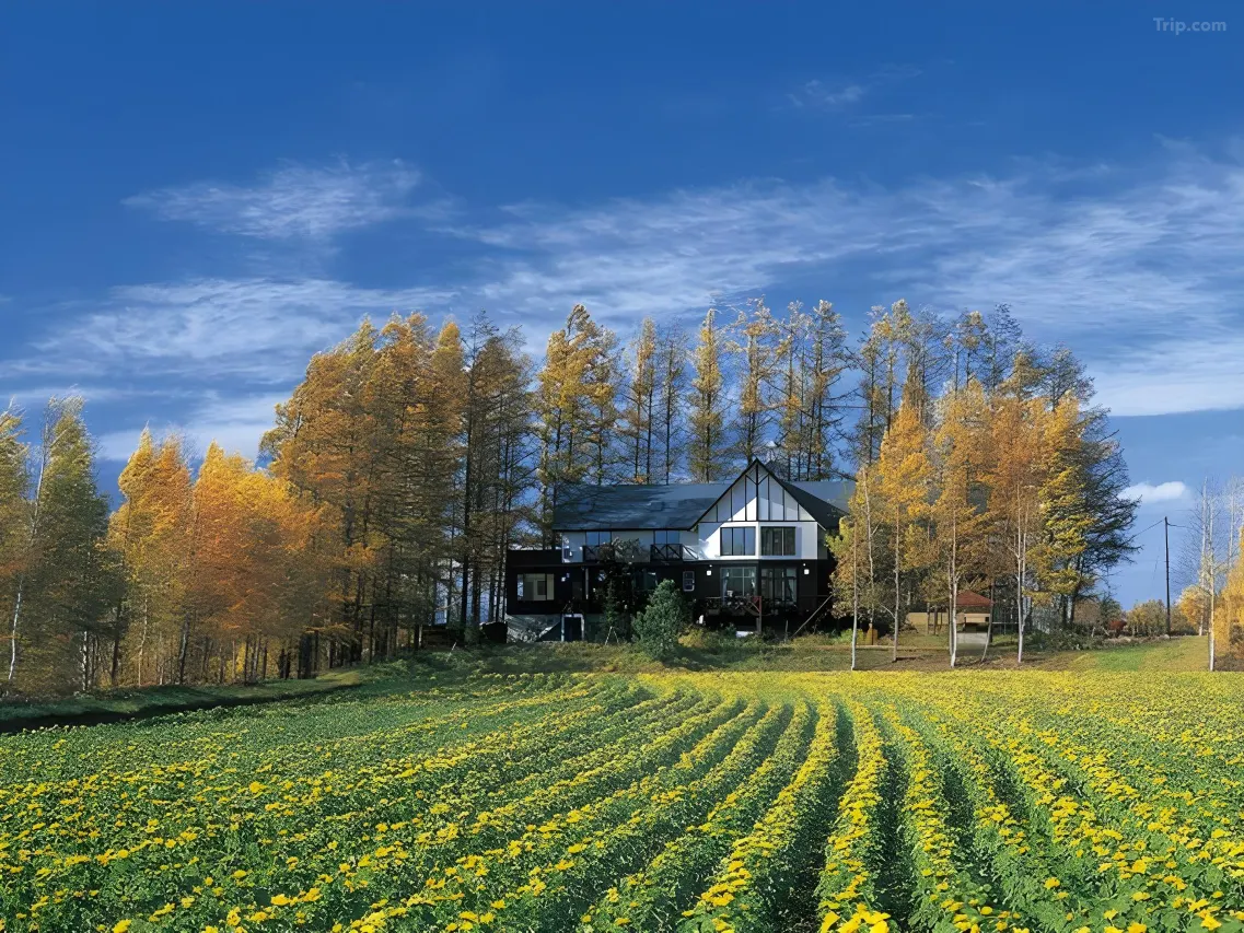 hokkaido hotel furano biei Adagio Biei 1 2026 hokkaido hotel furano biei Adagio Biei 1 2026