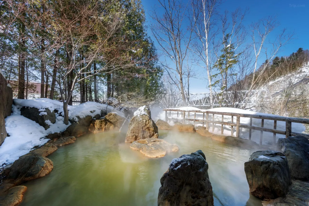 hokkaido hotel furano biei Ao no Bi YUYU 1 2026 hokkaido hotel furano biei Ao no Bi YUYU 1 2026