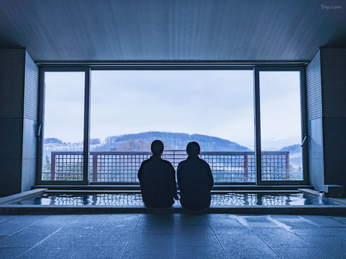 hokkaido hotel furano biei Furano Hotel 2 2026 hokkaido hotel furano biei Furano Hotel 2 2026