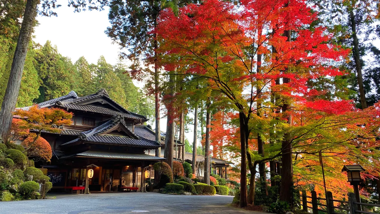 下呂溫泉 nagoya hotel gero Gero Onsen Yunoshimakan 2 2026 下呂溫泉 nagoya hotel gero Gero Onsen Yunoshimakan 2 2026