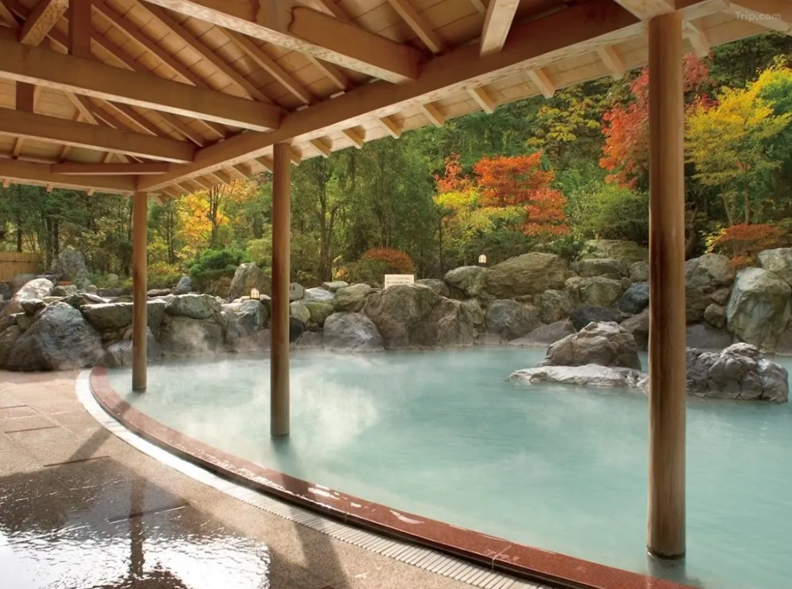 hokkaido hotel onsen Hotel Mahoroba 1 2026 hokkaido hotel onsen Hotel Mahoroba 1 2026