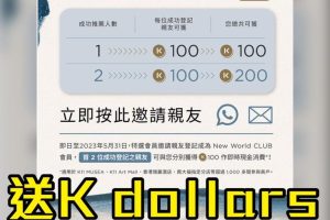 k11 k dollars