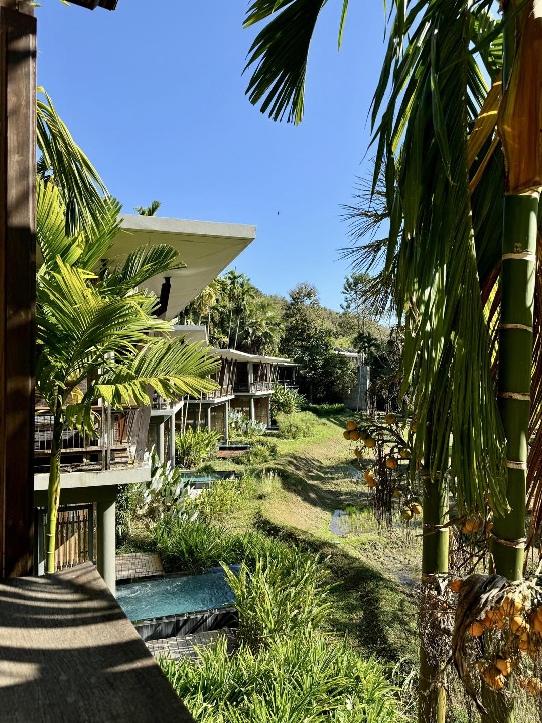 Accor雅高清邁 Veranda High Resort Chiang Mai - MGallery︱泰國酒店 圖文入住報告 超大連私人泳池Villa 計返數$1,200RC就住到晚！