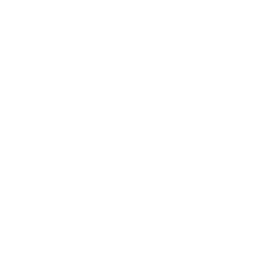 search 2025