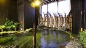 大阪難波酒店推介 御宿野乃旅館 – 難波 Onyado Nono Namba Natural Hot Spring 3 2025