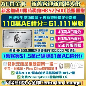 AE白金卡-迎新-年薪-年費-回贈-里數-AE積分