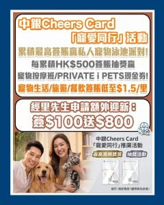 BOC Cheers Paws Tandem IG 2026 BOC Cheers Paws Tandem IG 2026