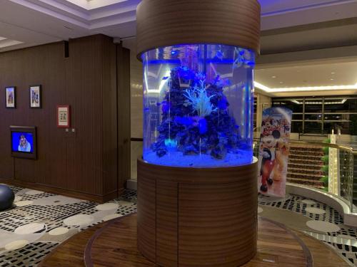 酒店大堂有圓柱形魚缸